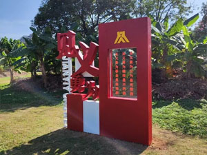 美陈